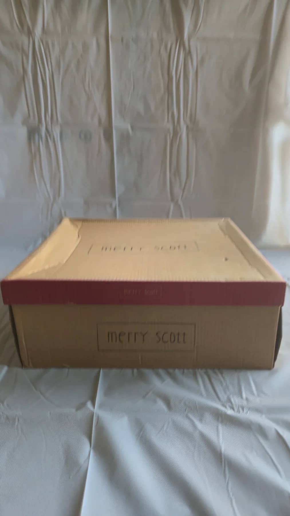 Merry Scott Bottines de couleur beige talon 5 cm avec détails argenté - Bottine - vue 3