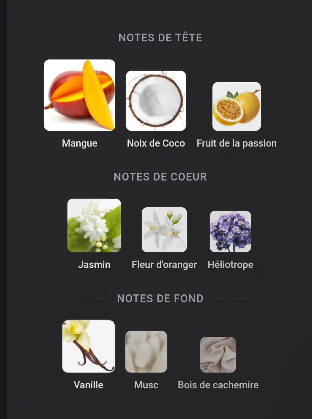 Yara Tous orange - Eau de parfum pour femme 100 ml - Lattafa - vue 3